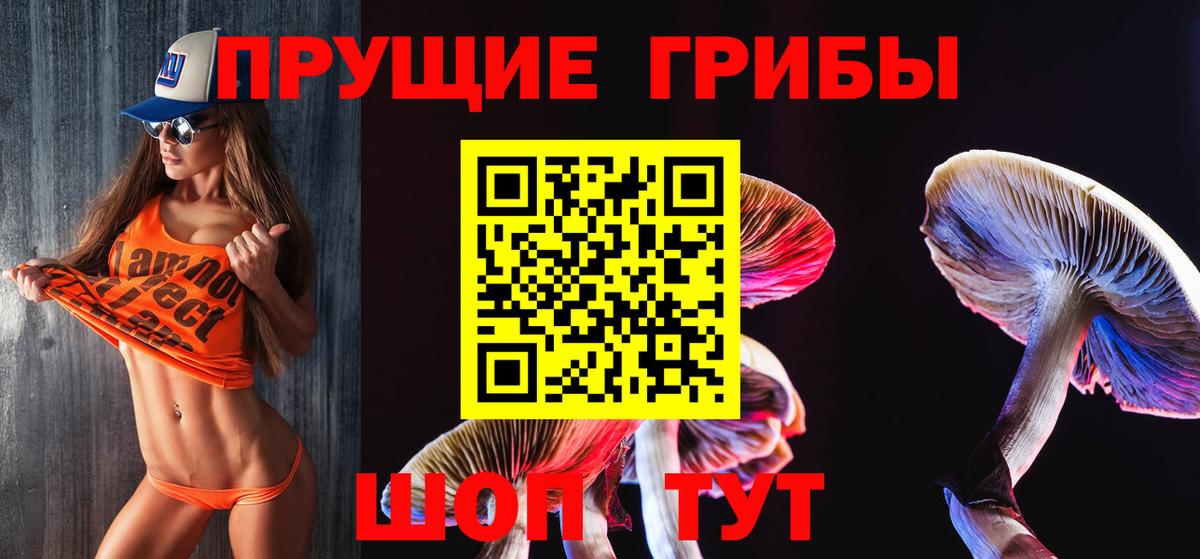 Псилоцибиновые грибы MAGIC MUSHROOMS  Псилоцибиновые грибы MAGIC MUSHROOMS  Сунжа  Вход с VPN 