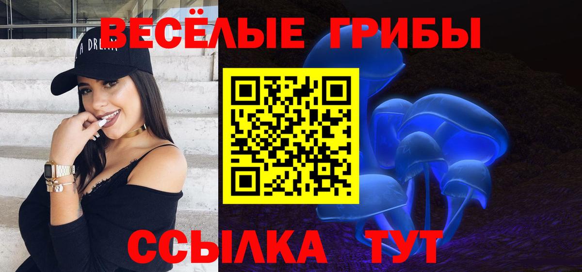 Псилоцибиновые грибы мицелий Сунжа